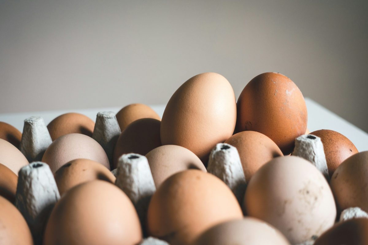 Protein i ägg: hur står sig ägg mot proteinpulver?