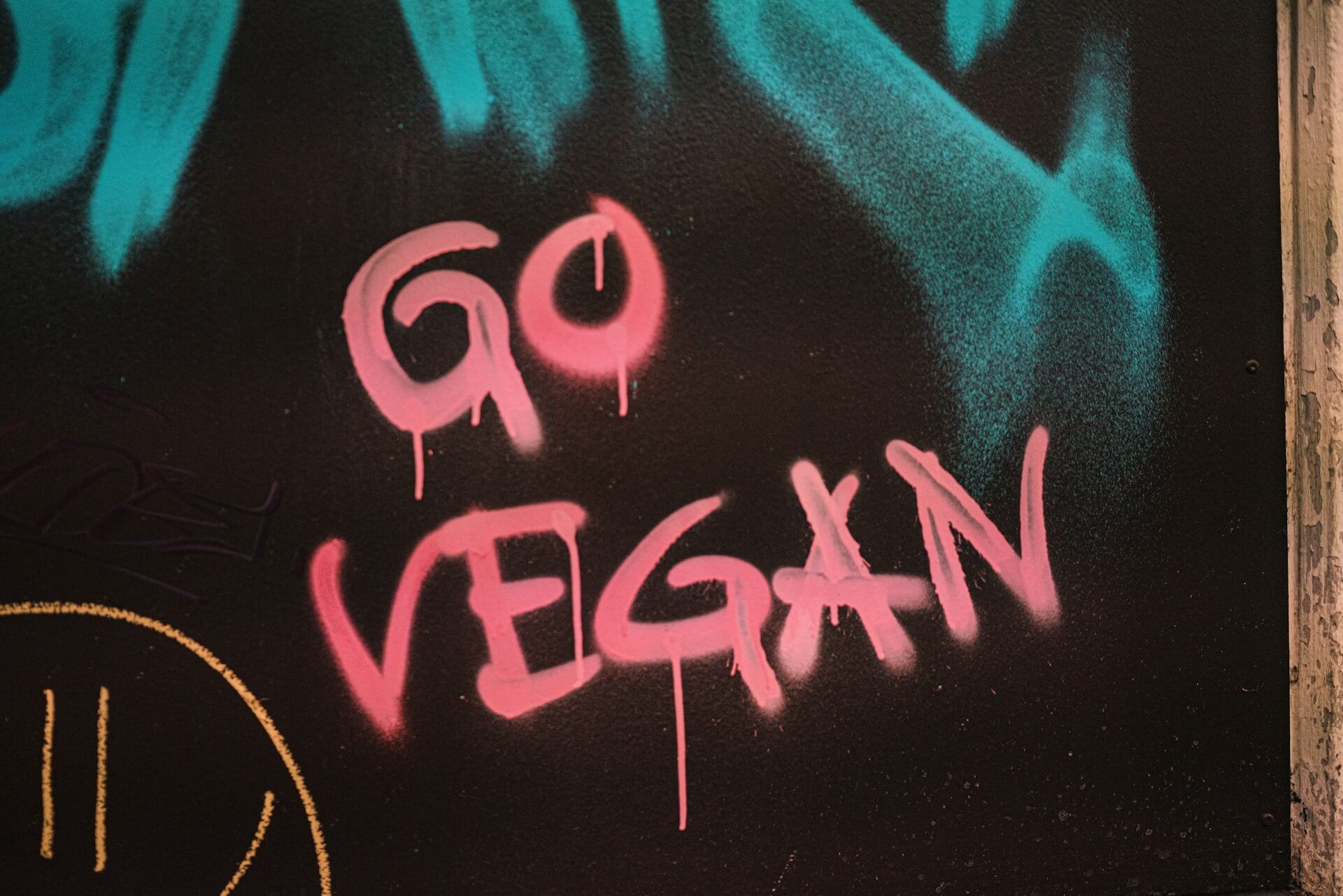 Veganskt proteinpulver vs. animalisk vad är bäst?